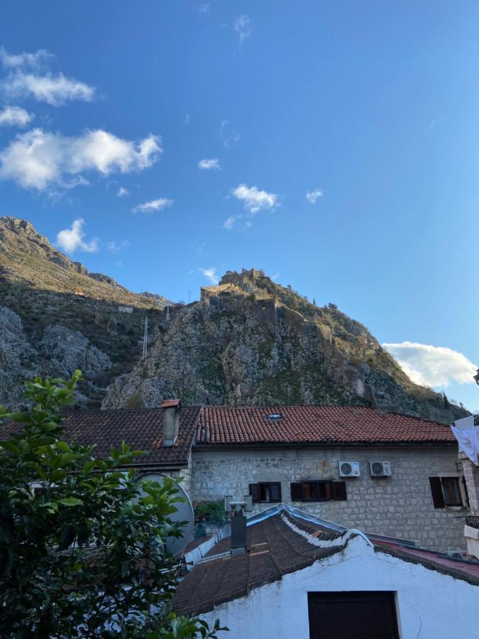 Viktor Rooms Kotor Exterior photo